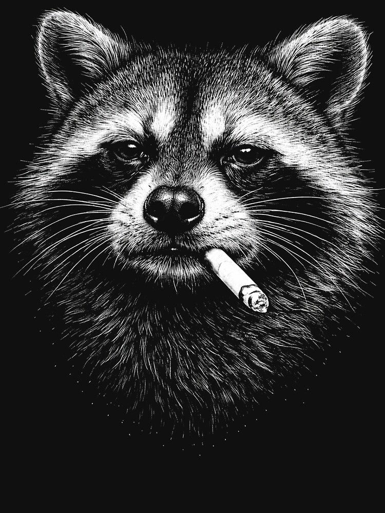 raccoon Smoking Cigarette Funny raccoon Meme by Kladhadredo