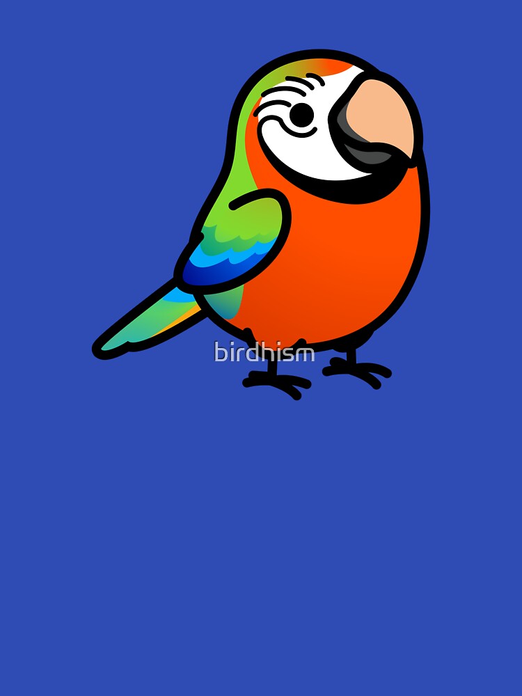Chubby Harlequin Macaw by birdhism