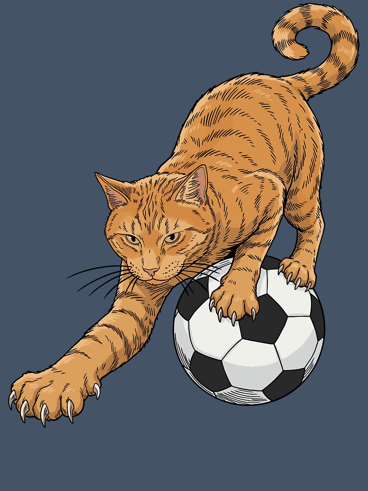 Soccer Cat Chaos by CARPIO Creations
