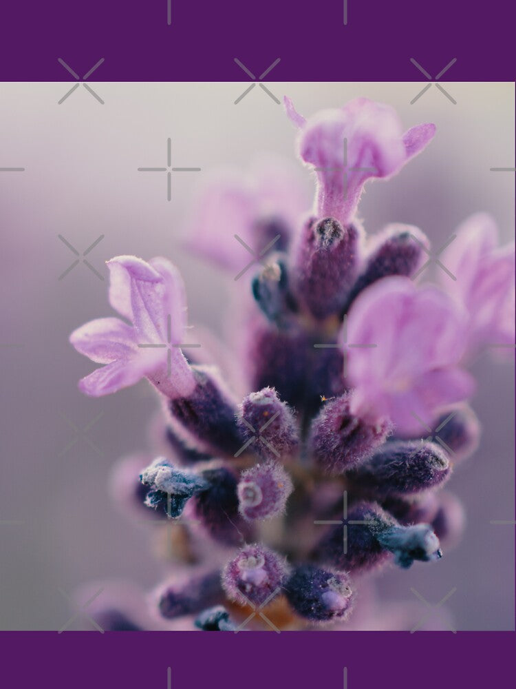Flower by Moni3572