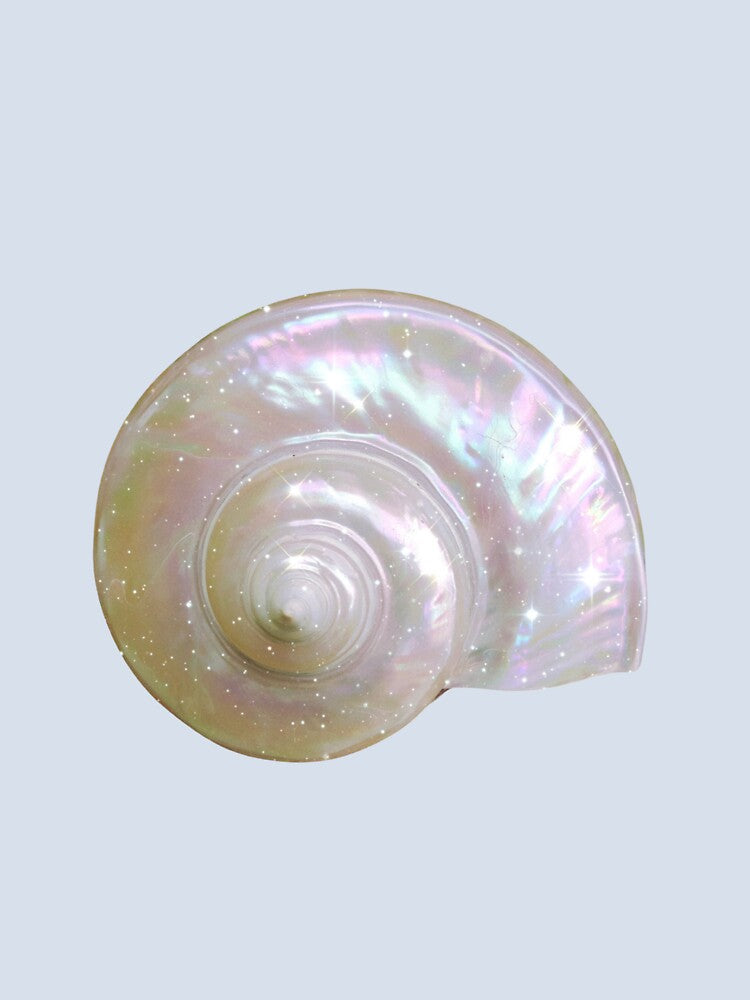 Iridescent Pearl Shell Y2K Tropical Aesthetic by y2ktropical
