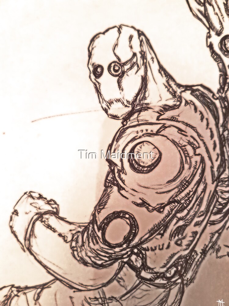 Cyborg by Tim Maidment