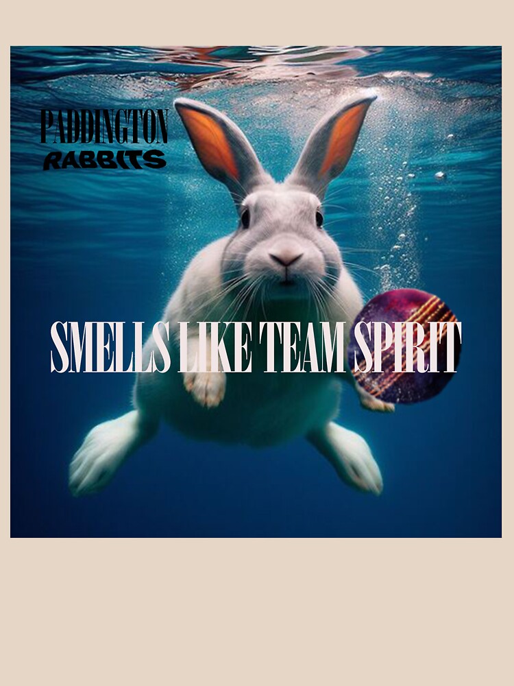 Team Spirit Tee by PadRabbits