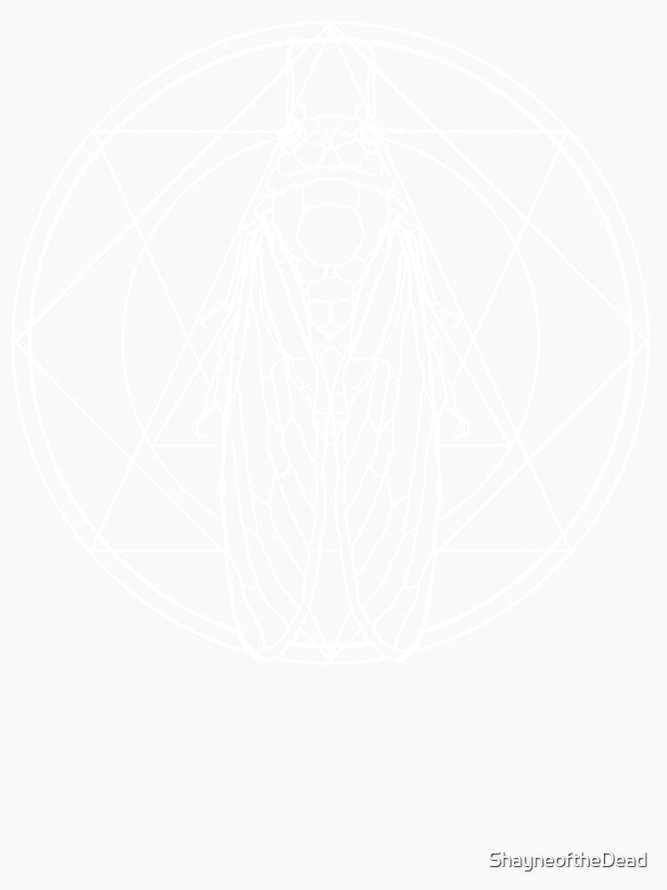 Cicada by ShayneoftheDead