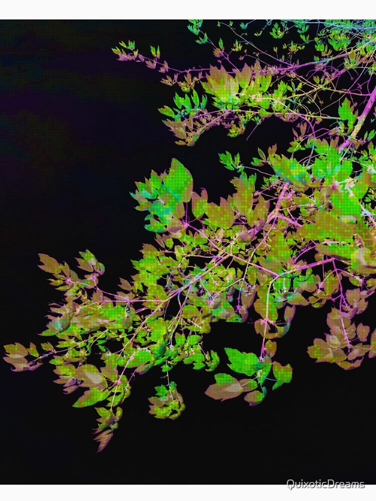 Glitchy branches in the forest matrix by QuixoticDreams