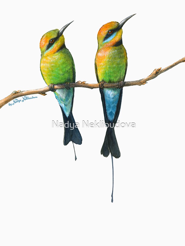 Rainbow Bee-Eaters Watercolour Design - Blue Background by Nadya Neklioudova