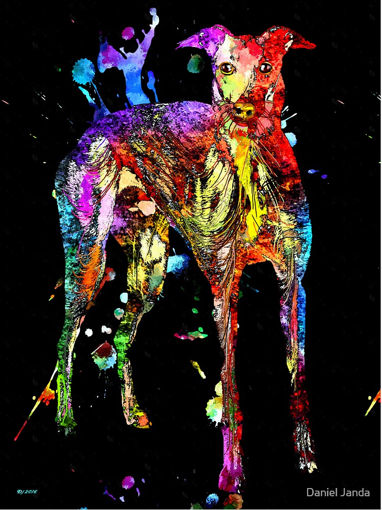 Greyhound Black Grunge by Daniel Janda