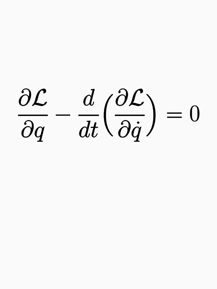 Euler Lagrange Equation Physics And Science Basics by melinacris