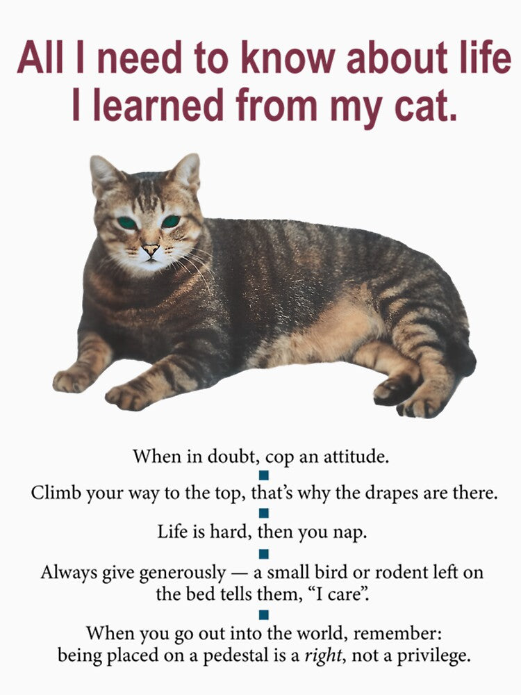 All I Need To Know About Life I Learned From My Cat by LiviaBarrosMelo