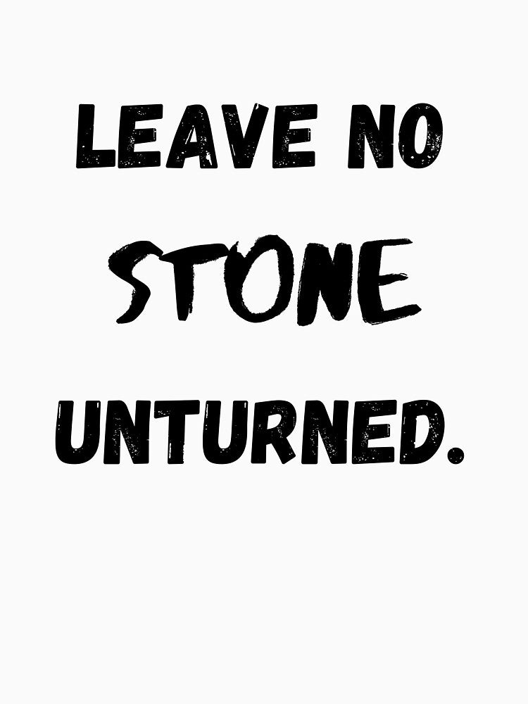 Leave No STONE Unturned, Motivational & Inspirational by Salman Hino
