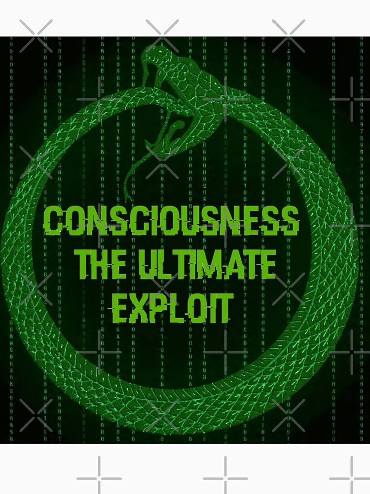 Consciousness the ultimate exploit by enigma3a