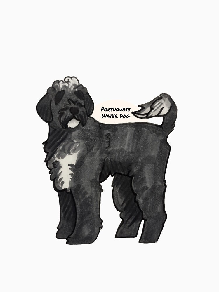 Portuguese Water Dog by the2000scalled