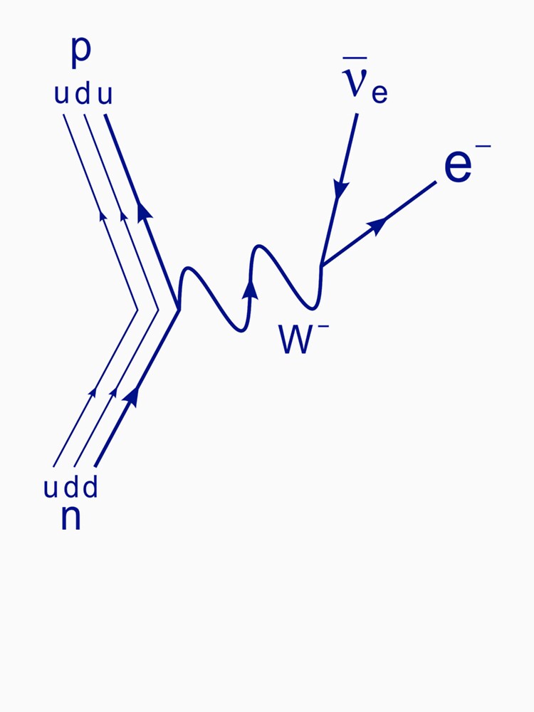 Feynman Diagram Proton Neutron Scattering Beta Decay by melinacris