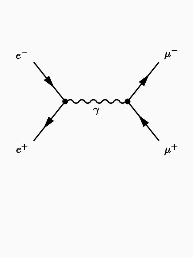 Feynman Diagram Electron Positron To Muon Scattering by melinacris