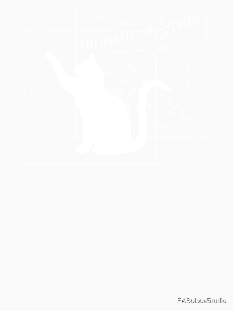 Schrödinger equation, cat in box, quantum mechanics, physics experiment by FABulousStudio