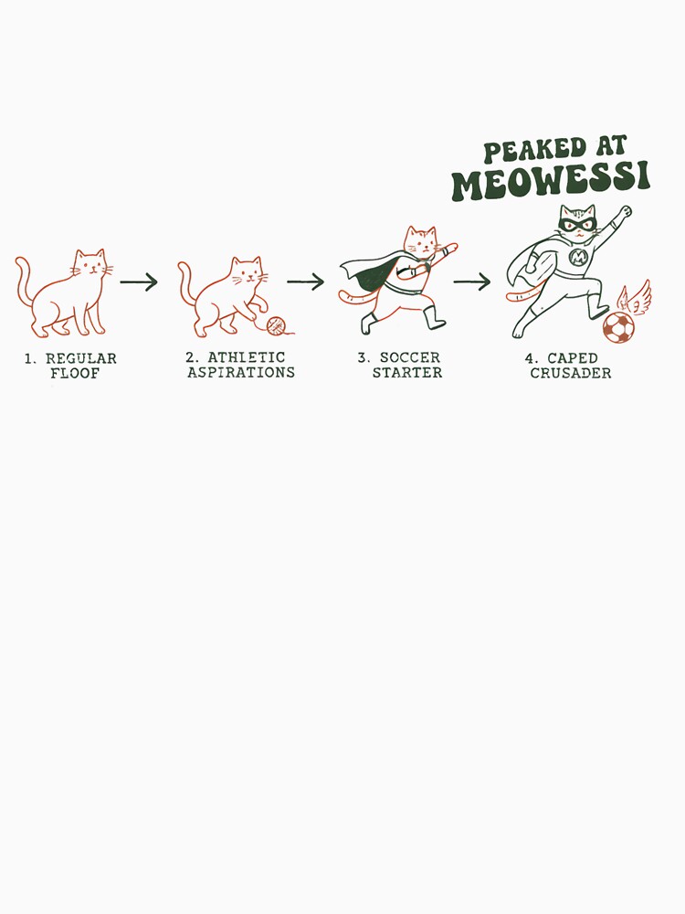 Evolution of a Feline Football Hero by AnnDesignStudio