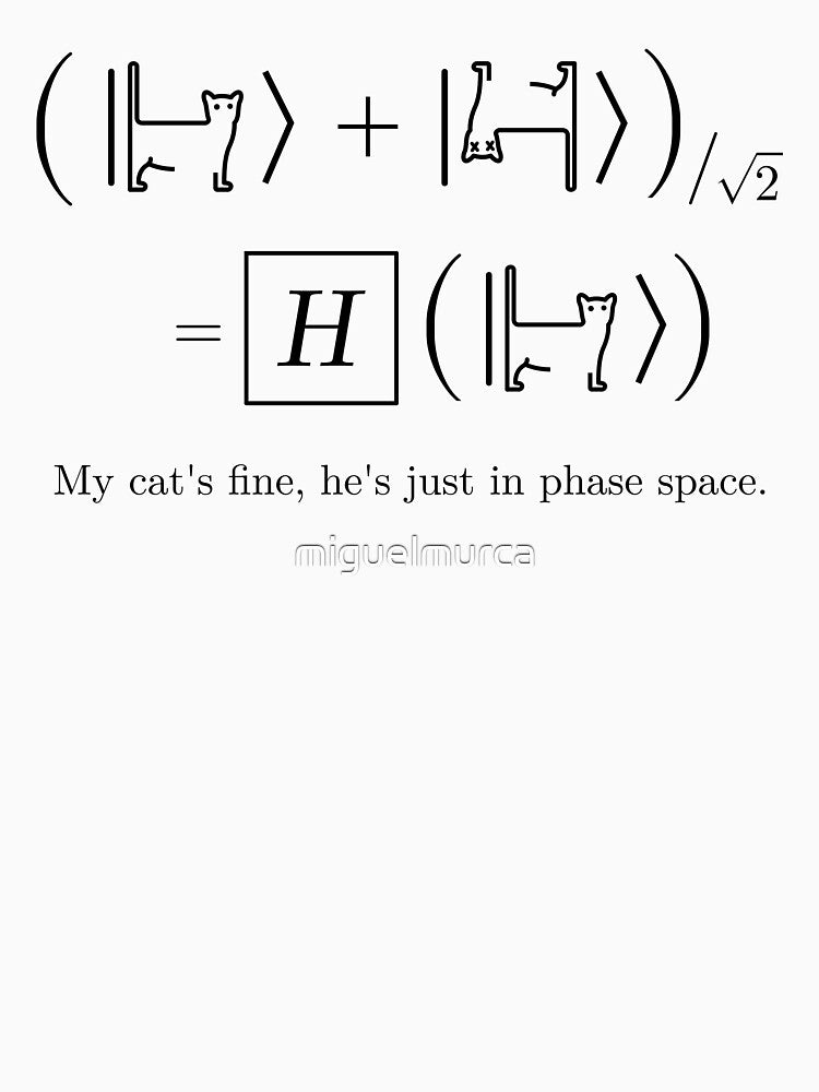 Phase Space Cat by miguelmurca