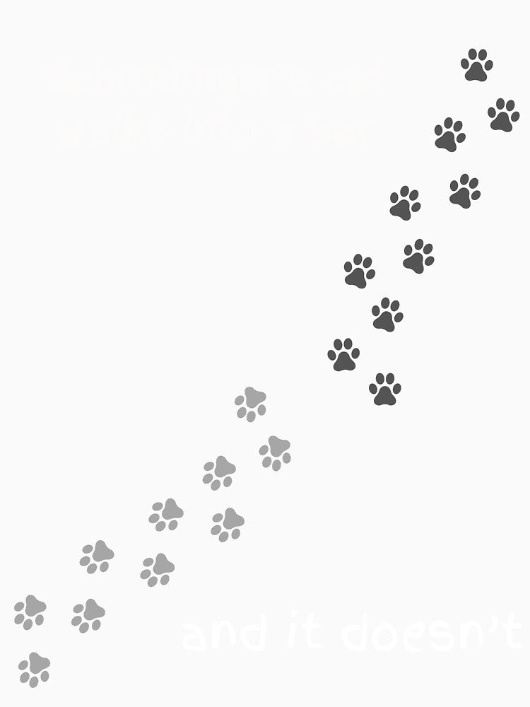 Schrodinger's Cat Walks Into A Bar - Quantum Physics by abeautifulife