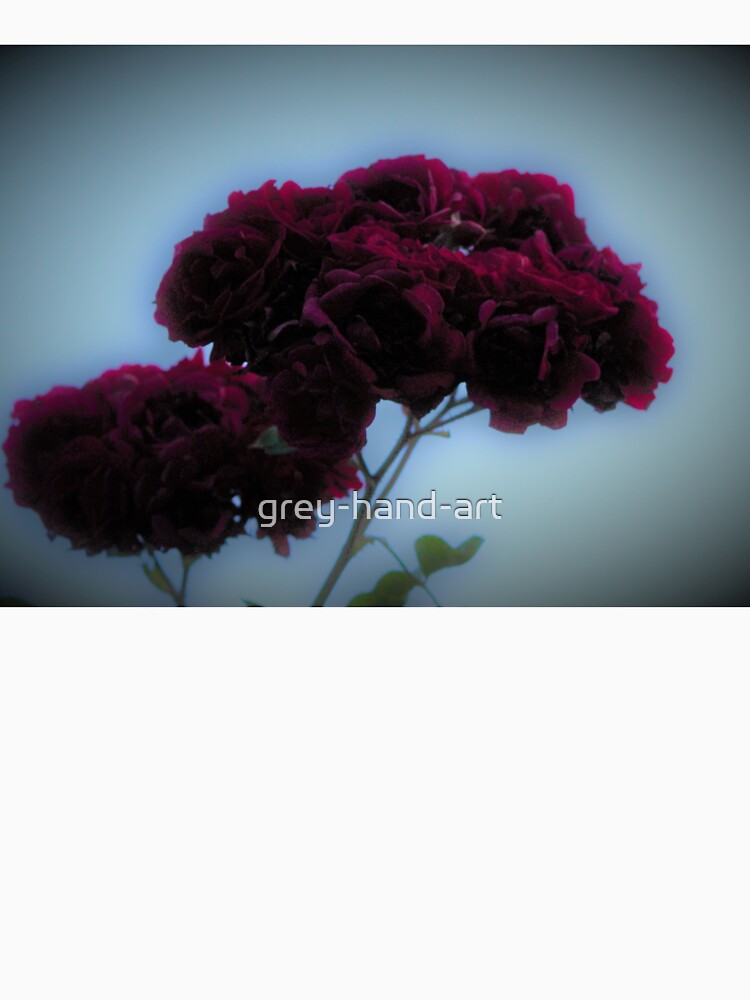 Dark red roses by grey-hand-art