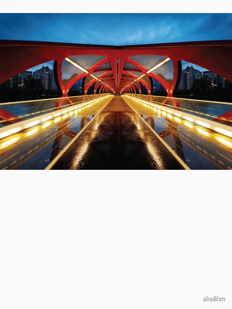 Bridge Calgary by skalihm