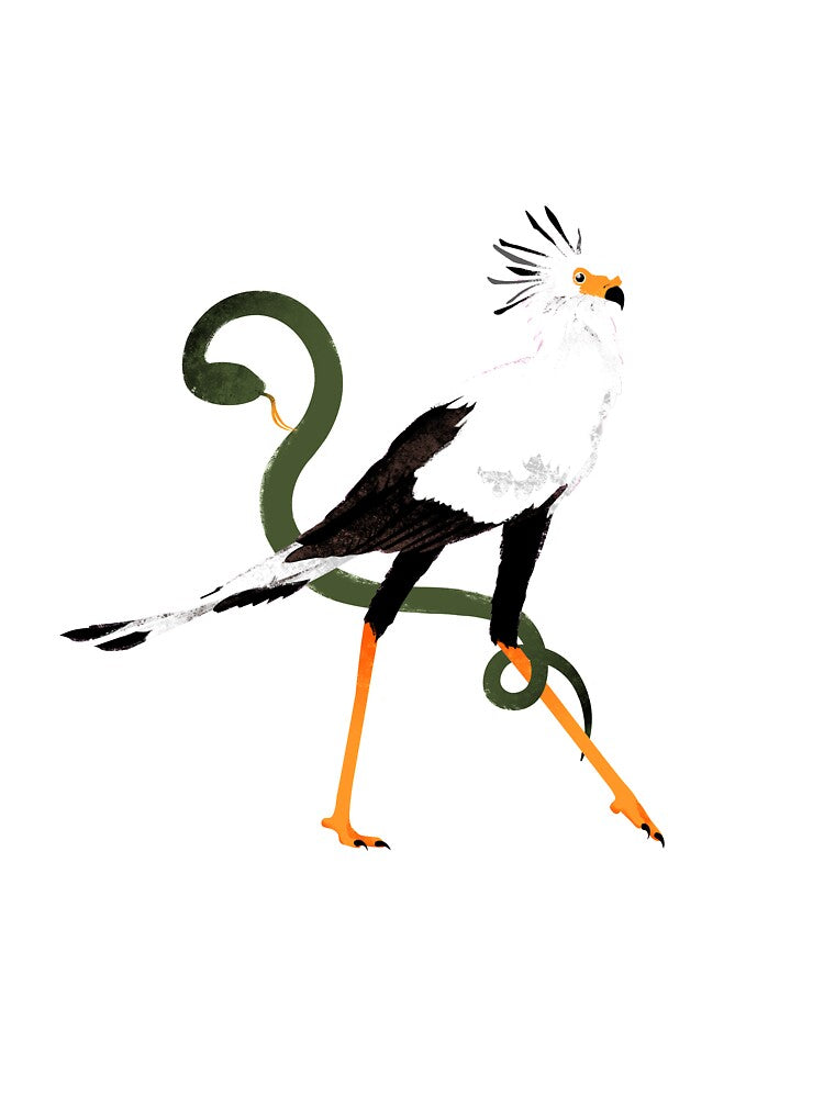 Secretary bird by GiuSquid