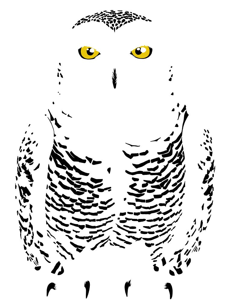 Snowy Owl (Camouflage) by BennuBirdy