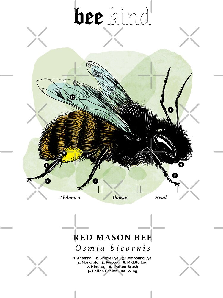 Bee Kind by xVelozeex