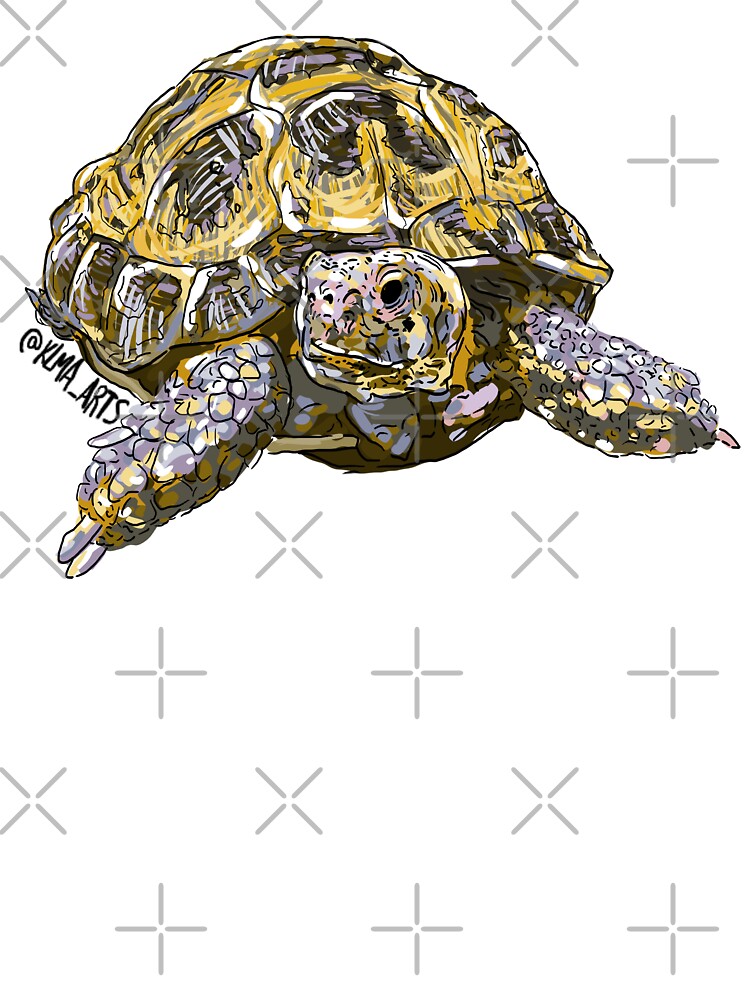 Russian Tortoise by KlmarArts