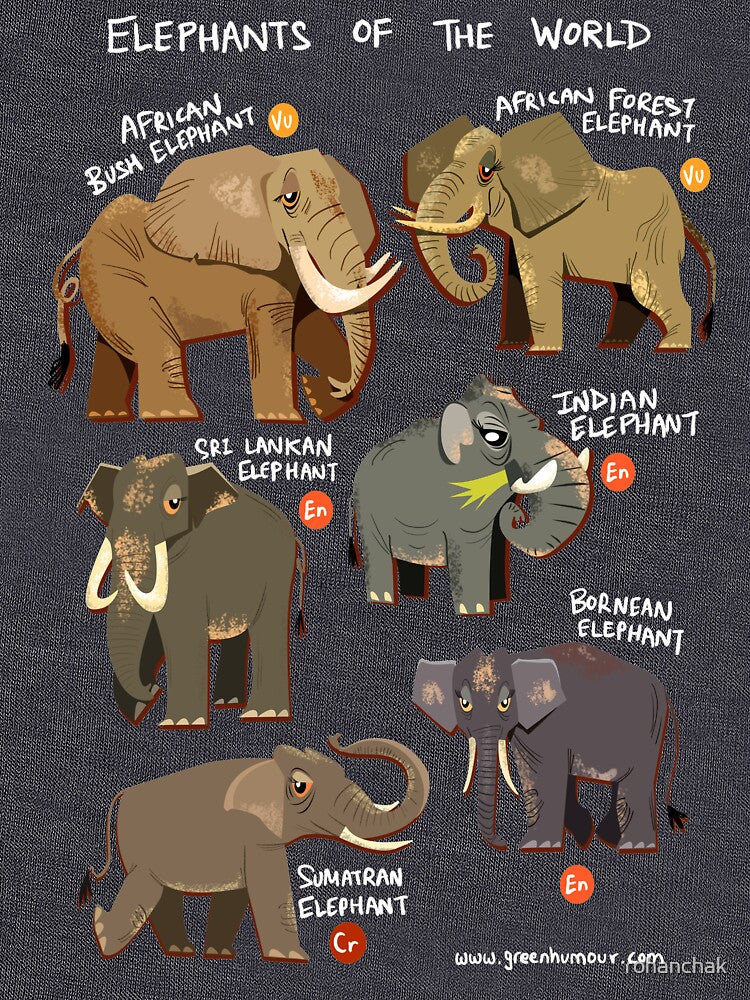 Elephants of the World by Green Humour