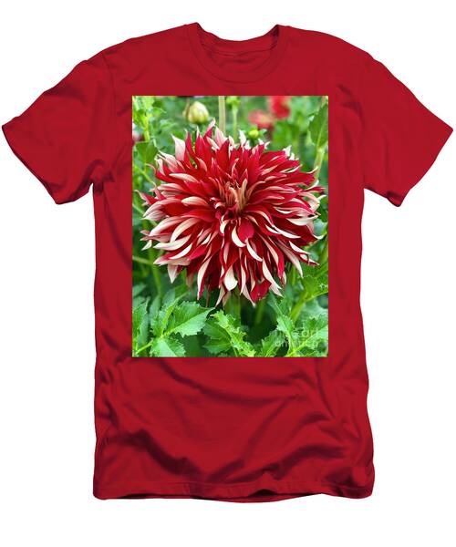 Red And White Dahlia T-Shirt