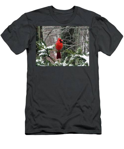 Red Cardinal T-Shirt