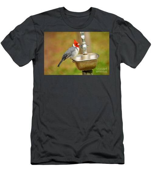 Red Crested Cardinal T-Shirt