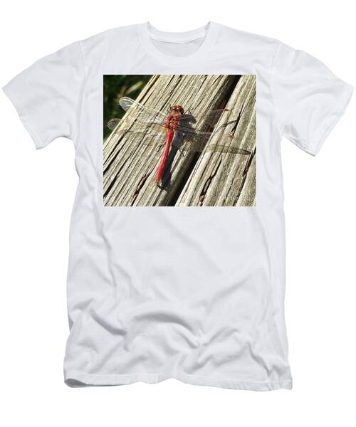 Red Dragon Fly T-Shirt