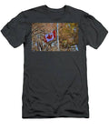 Red Maple, In Autumn's Remembrance Day T-Shirt