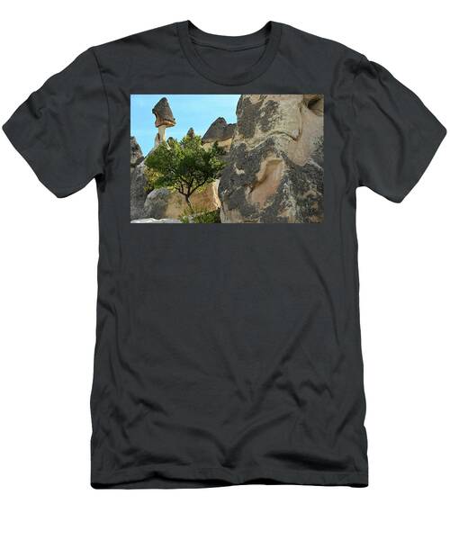 Rock Formation With Fall Tree Cappadocia Turkiye T-Shirt