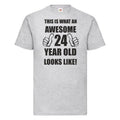 24th 24 Years Old Twenty Fourth Birthday  Presents Mens Funny Awesome T-Shirt