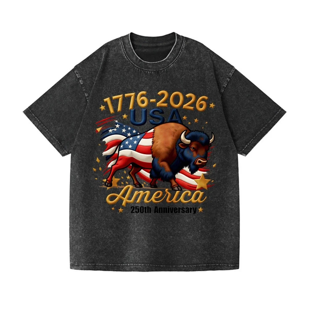 Patriotic 250th Anniversary Buffalo Washed T-Shirt - 1776-2026 USA Tee