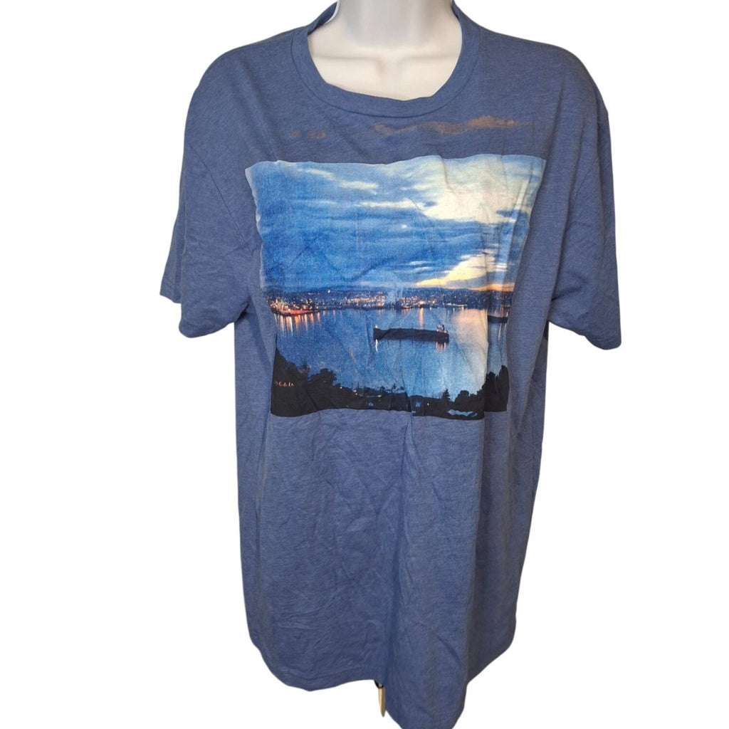 Next Level Blue Scenic Graphic Tee Large Soft Grunge Indie Minimalist Shirt
