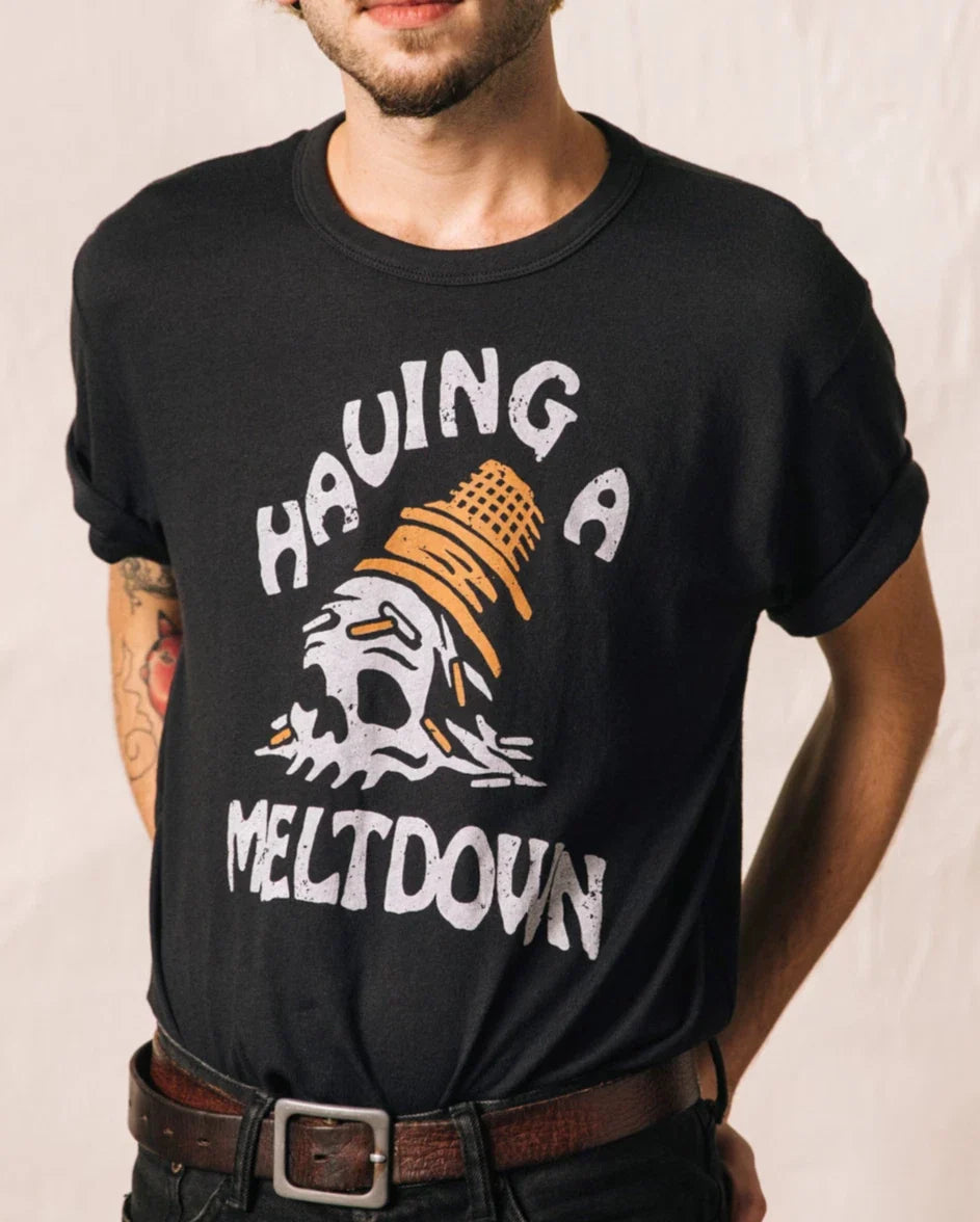 Having A Meltdown Shirt Funny Skull Ice Cream Cone Graphic Tee Sarcastic MenGift