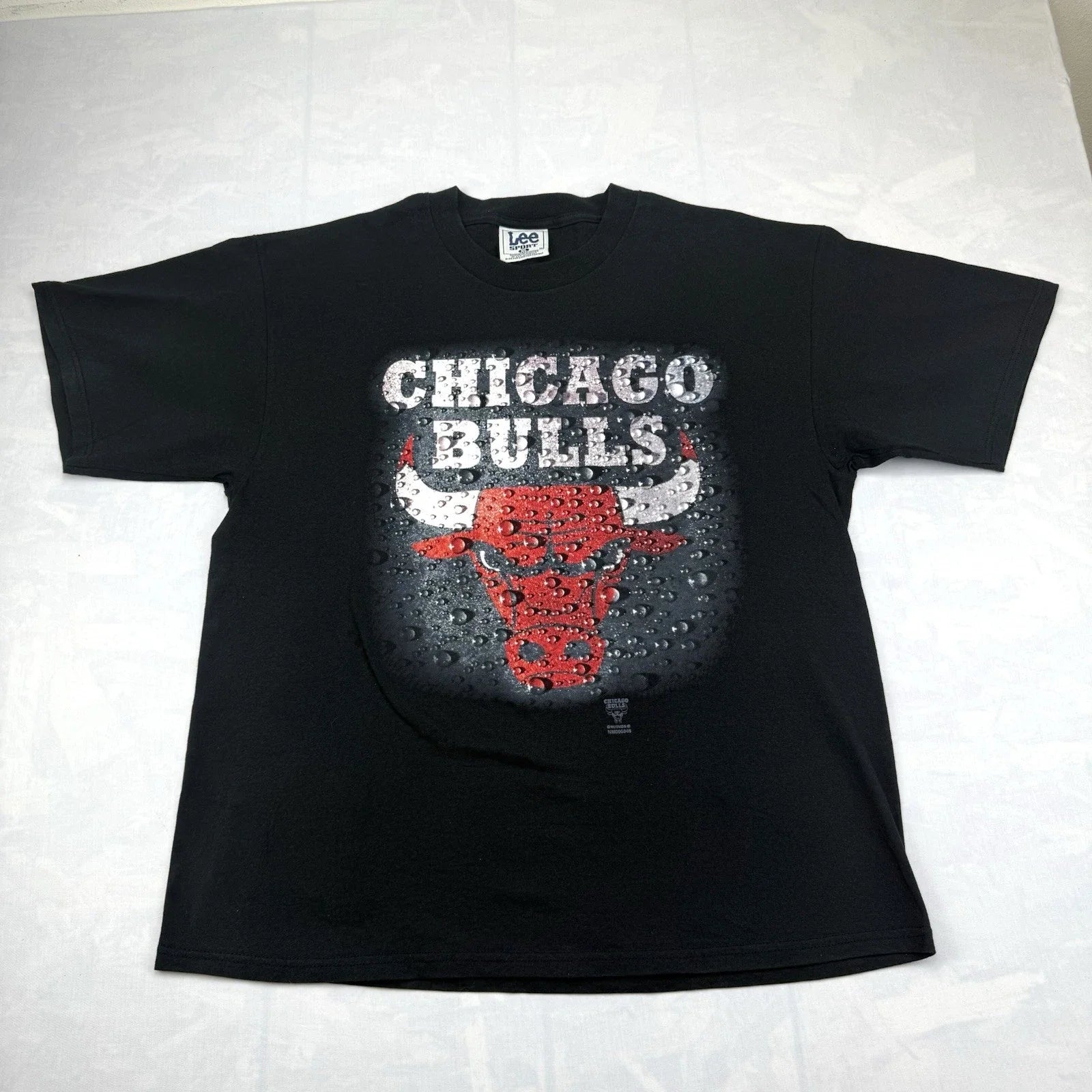 Y2K Chicago Bulls Graphic T-Shirt Lee Sport Black NBA Tee XL