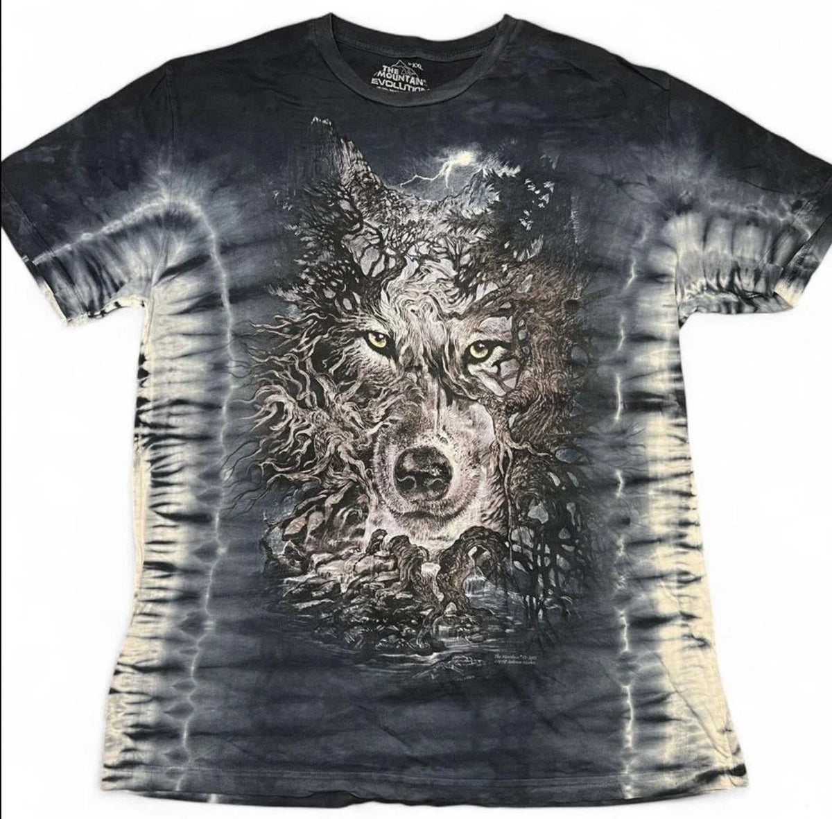 Vintage Y2K The Mountain Blue Evolution Tee Shirt Women’s XXL