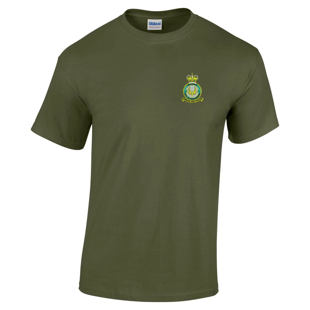 OFFICIAL No 2 Squadron RAF T-Shirt