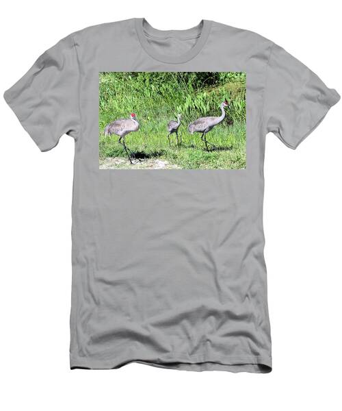Sand Hill Crane Family At Orlando Wetlands Near Christmas Florida T-Shirt