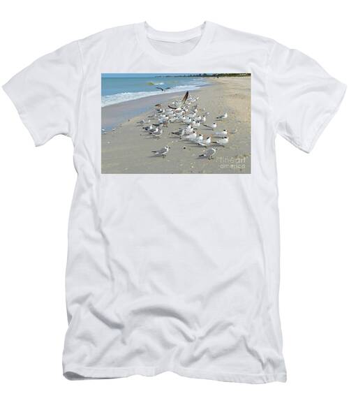 Siesta Key Florida Shore Birds T-Shirt