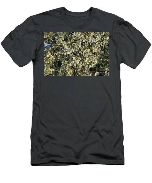 Silverleaf T-Shirt