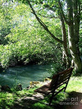 Sitting By The River Print