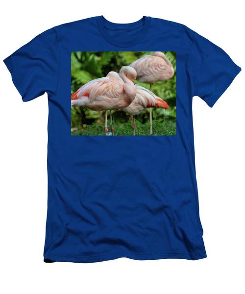 Sleeping Flamingo Trio Brevard Zoo Florida T-Shirt