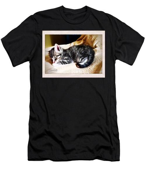Soft And Fuzzy T-Shirt