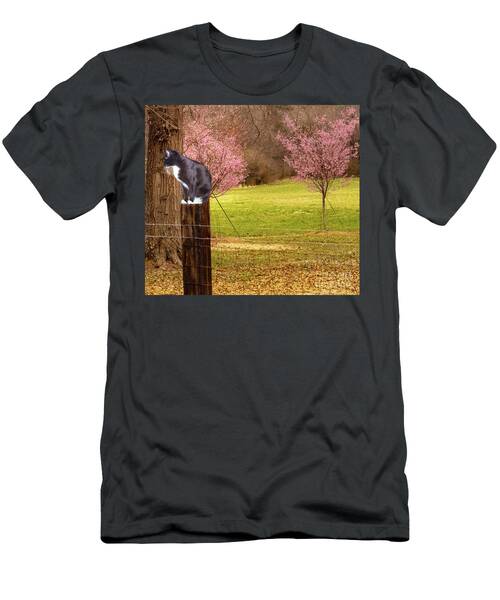 Spring Cat In Aragon Georgia T-Shirt