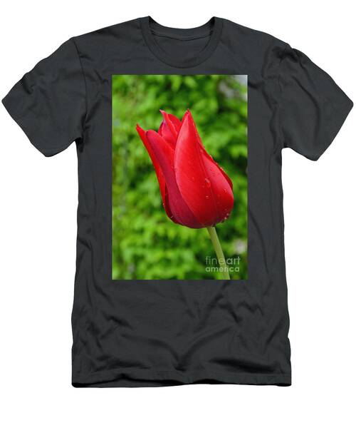 Spring Rain On Tulip T-Shirt